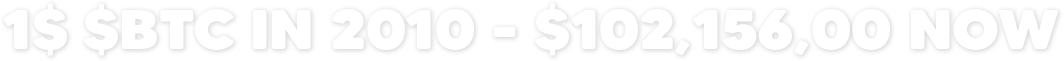 1$ $BTC in 2010 - $102,156,00 now